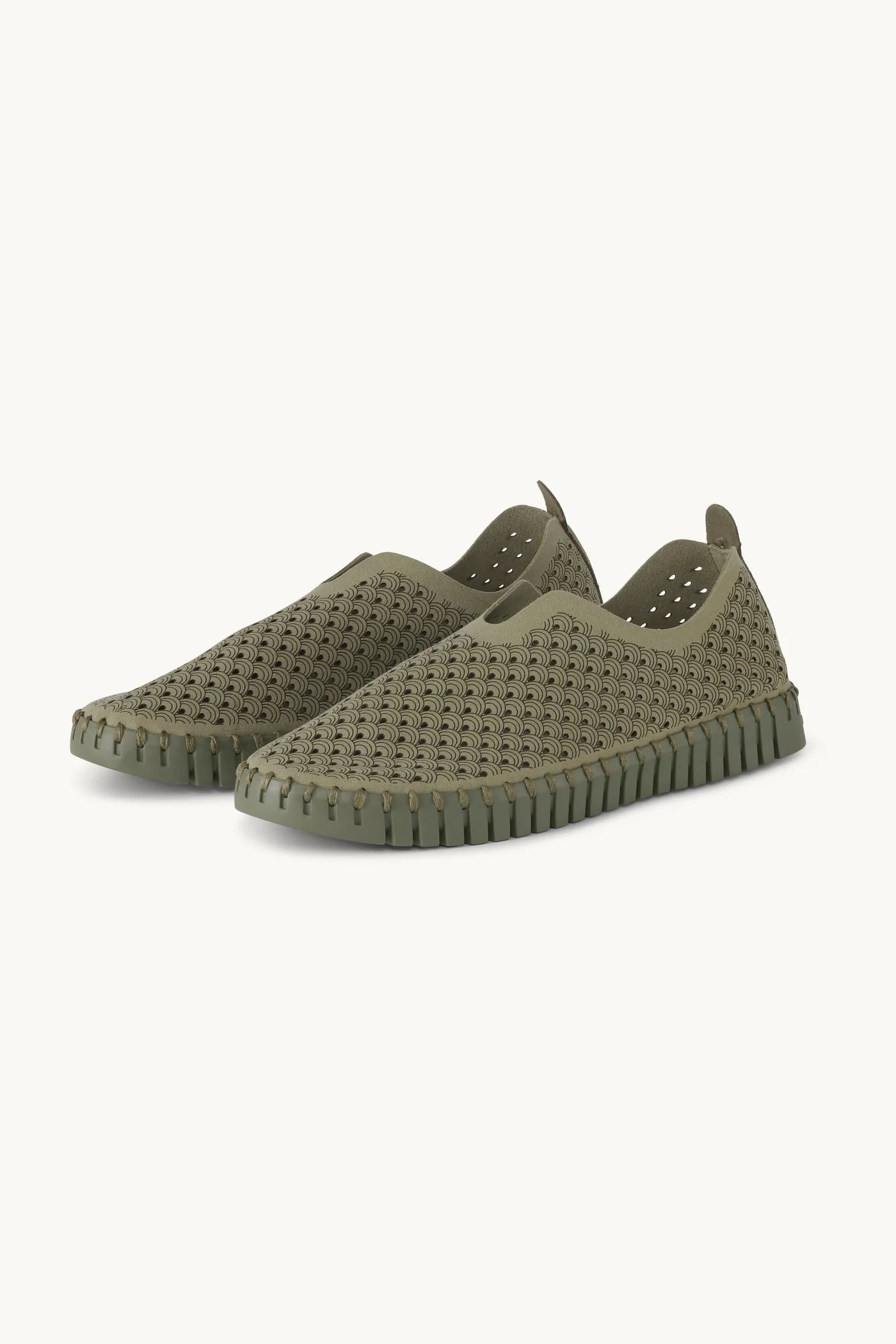 Tulip Flat- Army