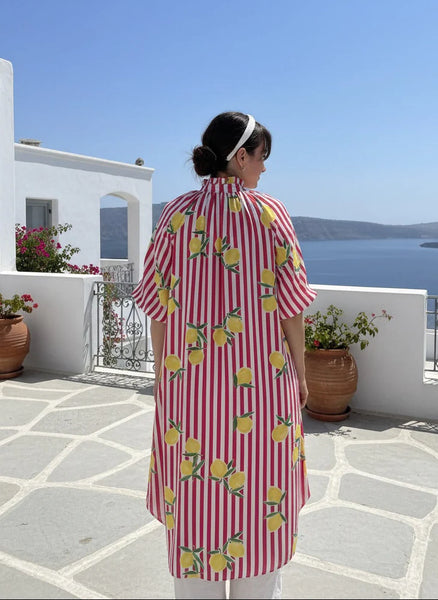 Lemon Raspberry Stripe Dress