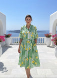 Lemon Green Stripe Dress