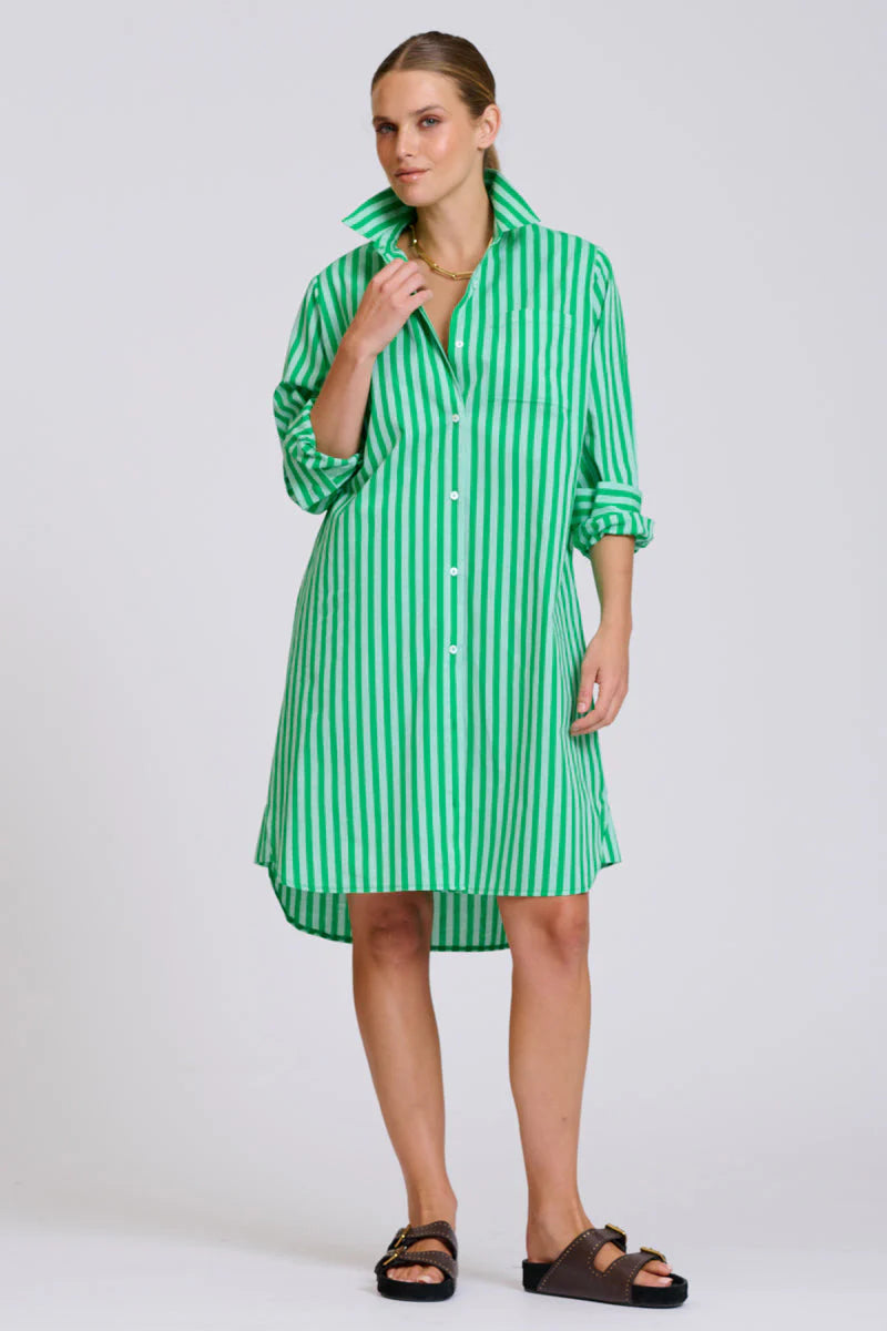 The Classic Cotton Shirt Dress - Double Green Stripe