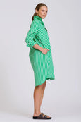 The Classic Cotton Shirt Dress - Double Green Stripe