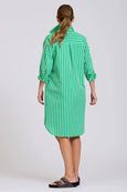 The Classic Cotton Shirt Dress - Double Green Stripe